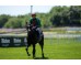  Carrera: P.Jose Antonio Rodriguez JAR Monta: R.N.Valle Caballo: Bruno